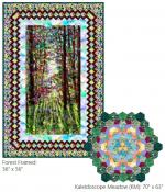 Forest Framed & Kaleidoscope Meadow by 
